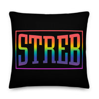 NEW!  STREB Rainbow Pride Classic Logo Pillow